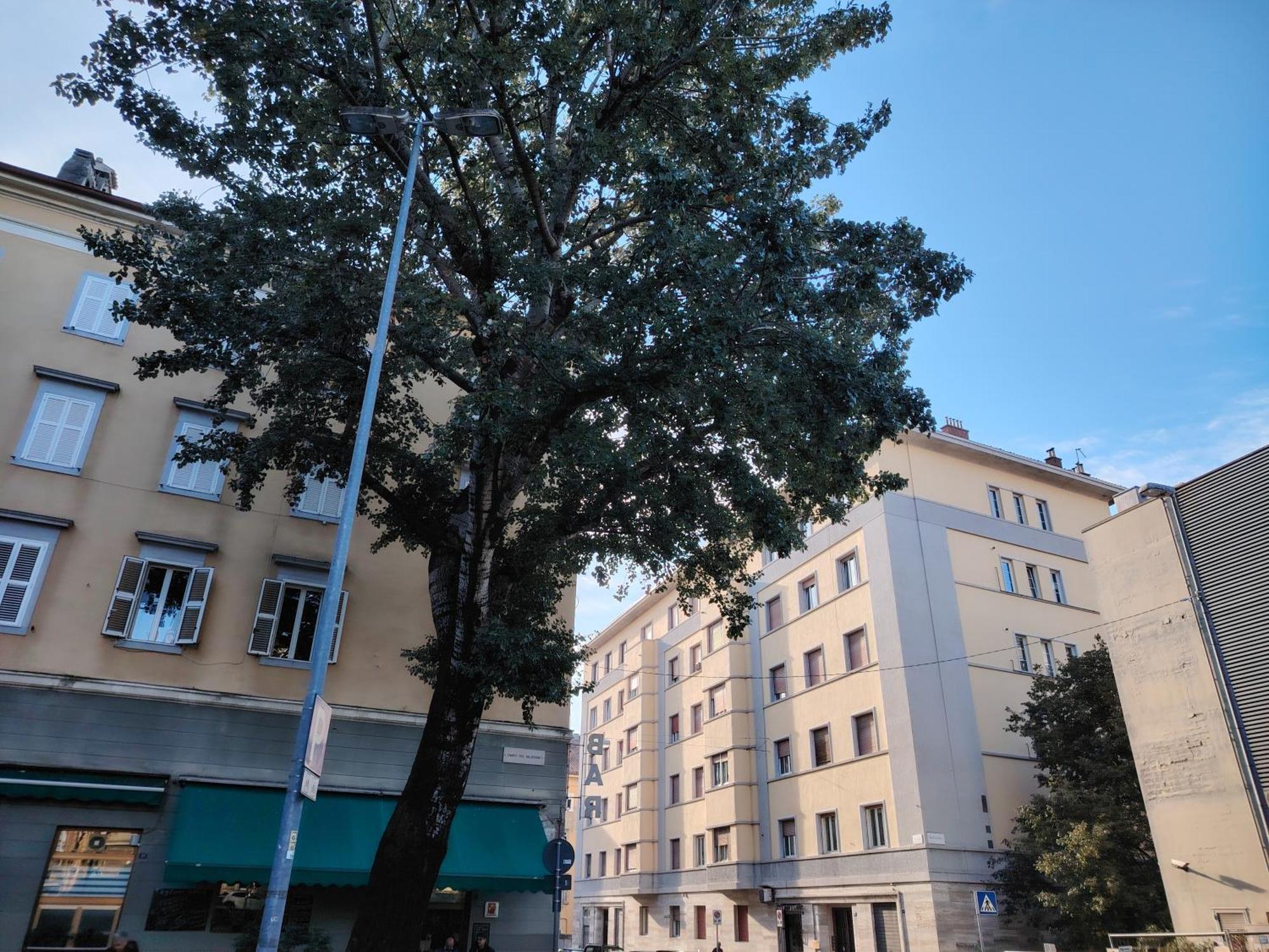 Fabio Haus Triest Exterior foto